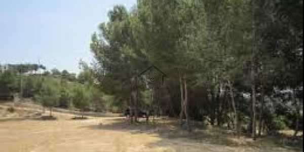 Model City 1-5 Marla- Plot Is Available For Sale