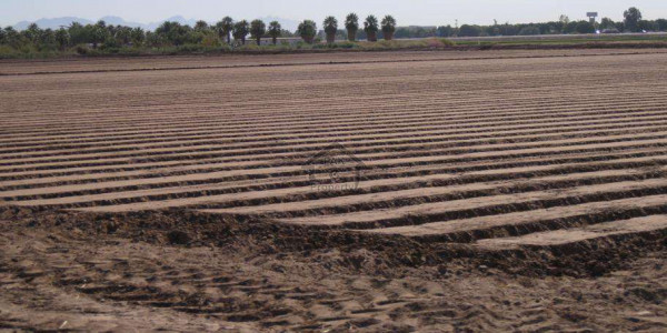 Punjab University Employees Society, Plot Is Available For Sale