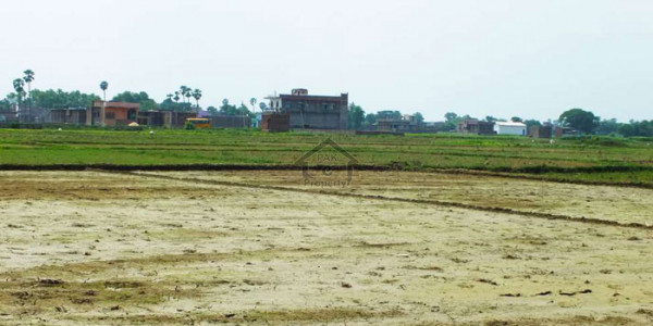 Punjab University Employees Society, Plot Is Available For Sale