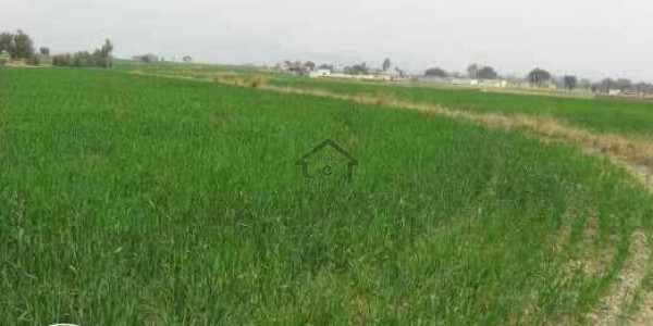 Punjab University Employees Society-Plot Is Available For Sale