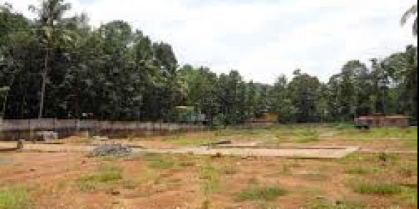 Punjab University Employees Society, Plot Is Available For Sale