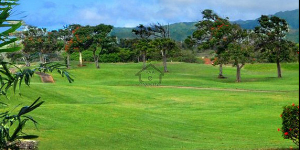 Punjab University Employees Society,Plot Is Available For Sale