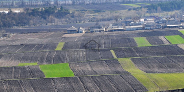 United City, Raiwind Road,Plot File Is Available For Sale