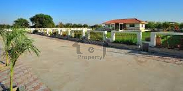 1 Kanal Plot Available For Sale In Abu Bakar Block