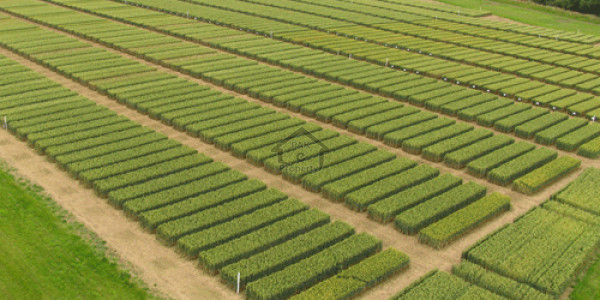 Warsak Road - 5 Marla Residential Plot Is Available For Sale