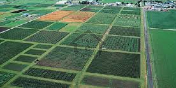 Residential Plot For Sale In Bahria Orchard Phase 4 - New Deal Announced - Book Now