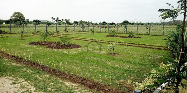 Wapda Town, 3 Marla-Commercial Plot Is Available For Sale