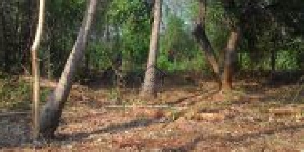 Bahria Town -6 Marla Commercial Plot For Sale