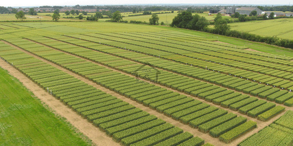 5 Marla Plot- C711 For Sale In Dha 9 Town