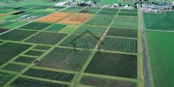 Two Kanal Plot Files For Sale In Gwadar