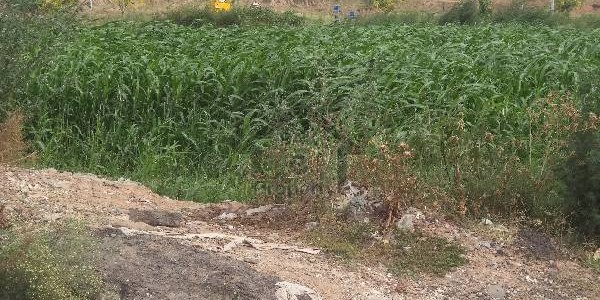 Beautiful Plot Available For Sale In F-16/4 Prime Location