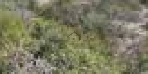 Johar Town - 12 Marla Semi Commercial Plot Is Available For Sale