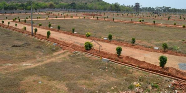 Sangar Housing Schem - 600 Square Yards Residential Plot For Sale  IN Gwadar