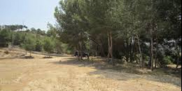 GT Road, 12 Marla-Plot For Sale