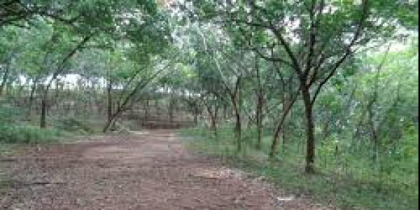 Bahria Town -  - Block DD,, Plot Is Available For Sale