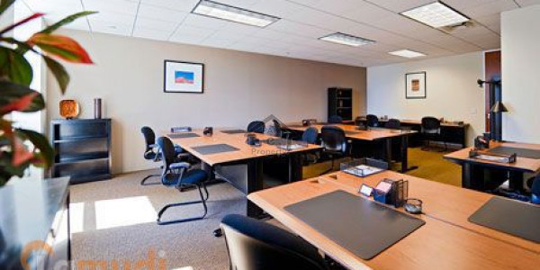 Blue Area, 2,300 Sq. Ft. Office For Sale