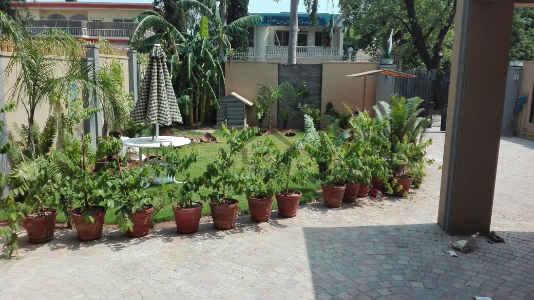 Beautiful Brand New Outstanding Quality House Available For Rent In Sector F-6/2 On Prime Location