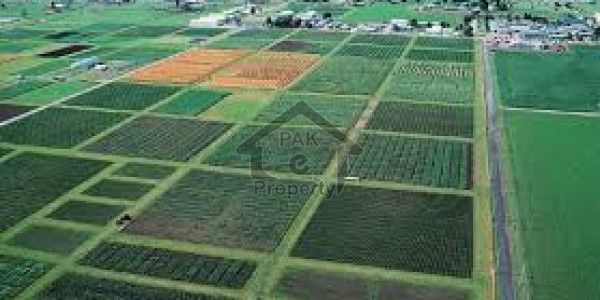 Plot 214 For Sale Best For Investment At Good Location