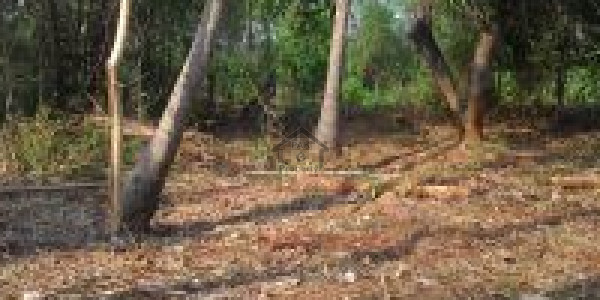 DHA Defence-  1 Kanal-  Installment File Available.