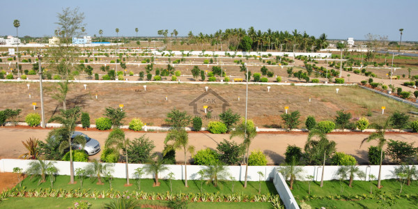 Regi Model Town,1 Kanal- Plot For Sale