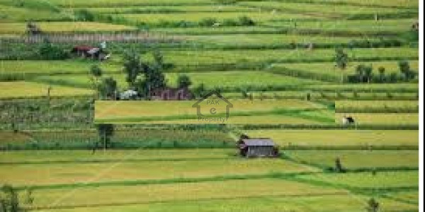 Abdullah Garden, 1 Kanal-Plot Available For Sale