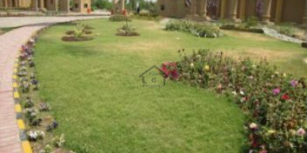 Royal Palm City-  5 Marla-  Director Quota Palm No Development Charges.