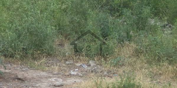 Corner Plot Available For Sale In CDA Sector E-12/2 On Marvelous Location