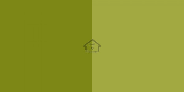 Khayaban Colony - 16 Marla Brand New House Available For Sale IN Faisalabad