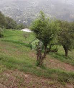 Murree Resorts-   5 Marla-   Beautiful Locations Plot For Sale.