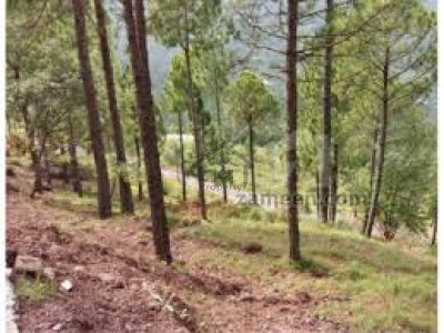 Murree Resorts- 1 Kanal-  Hill Top Location Plot For Sale.