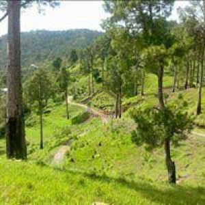 Patriata-   5 Marla-   Residential Plot For Sale.