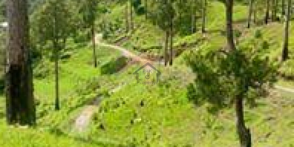 Patriata-  5 Marla-   Residential Plot For Sale.