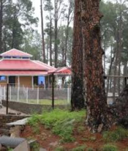 Murree Resorts-  5 Marla-    Plot For Sale.