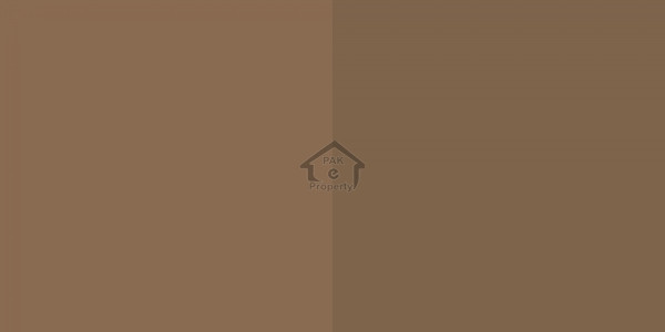 Faisalabad Road - Double Story Beautiful Furnished House For Sale IN Okara