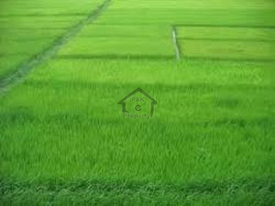 Thalian Interchange 200 Kanal-Land For Sale