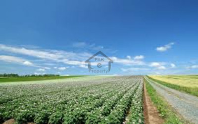 Fateh Jang Road,1.75 Kanal-Agricultural Land For Sale
