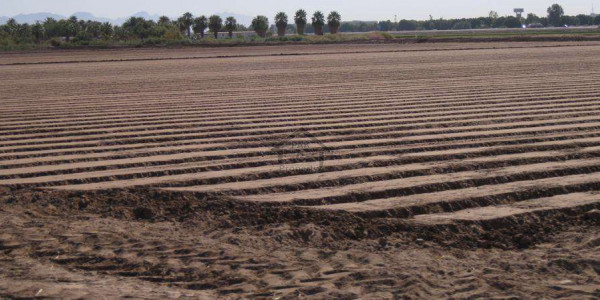 G  13-   1 Kanal-   Residential Plot Is Available For Sale.