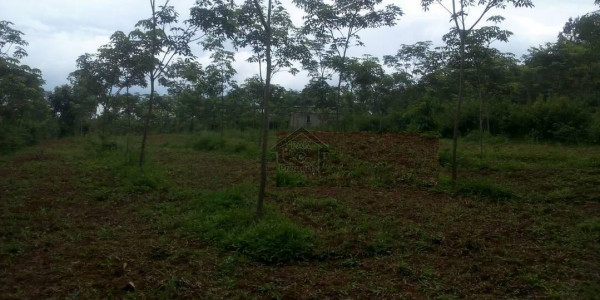 Wapda City-   5 Marla-     Plot File For Sale In Wapda City.