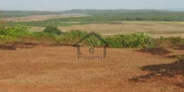 Residential Plot Available For Sale