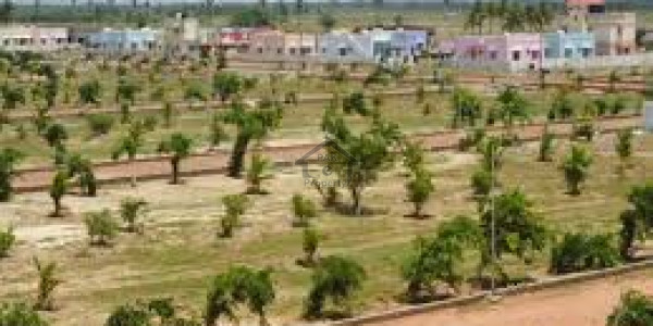 Palm City Housing Scheme-  10 Marla-   Plot Palm City On Instalment.