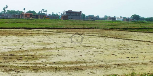 Citi Housing Society-5 Marla Plot In DD Block