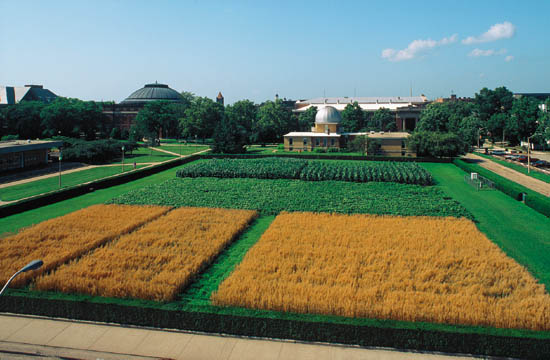 Residential Plot Available For Sale