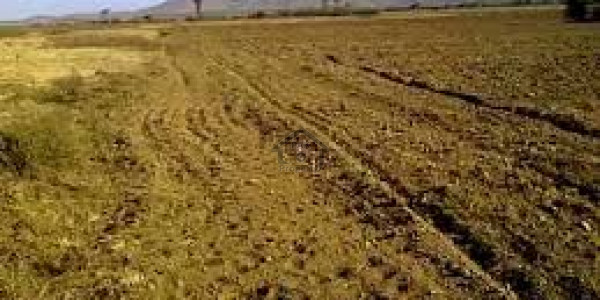 G Magnolia Park-  1.6 Kanal-  Residential Plot Available For Sale.