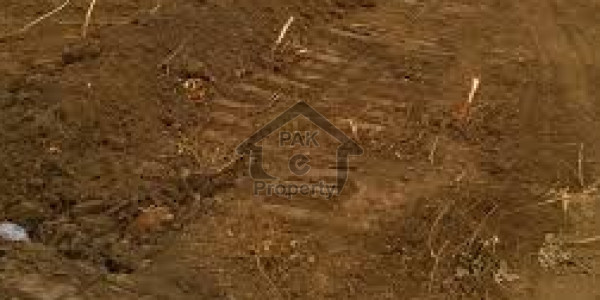 Plot For Sale In Nawabshah