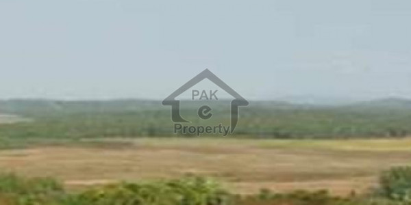100 SQUARE YARDS PLOT IN ZULFIQAR COMMERCIAL PHASE 8