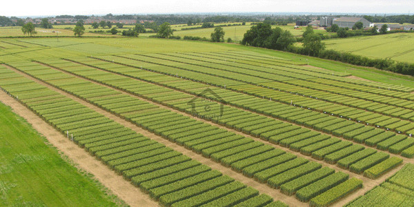 MPCHS - Multi Gardens, 11 Marla- Plot For Sale