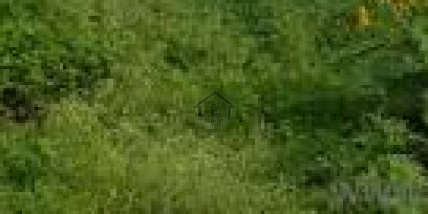 MPCHS - Block F - Residential Pair Plots File 25x50 For Sale  IN Islamabad