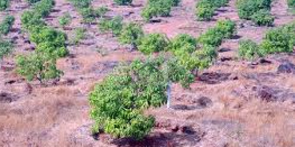 E-17/3 - 1 Kanal Plot Is Available For Sale  IN  Islamabad