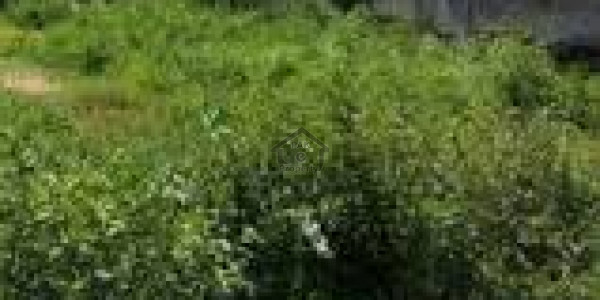 Gwadar Central Housing Scheme - Residential Plot For Sale In Gwadar Prime Location IN Gwadar