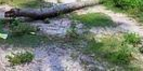 Jinnahabad - 10 Marla Corner Plot For Sale  IN Abbottabad